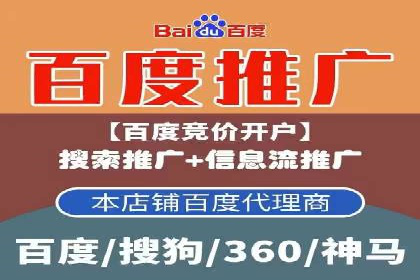 高效SEM托管服务：成功案例深度解析